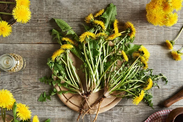 Egész Friss Pitypang Növények Virágokkal Gyökerekkel Asztalon Felülnézet — Stock Fotó