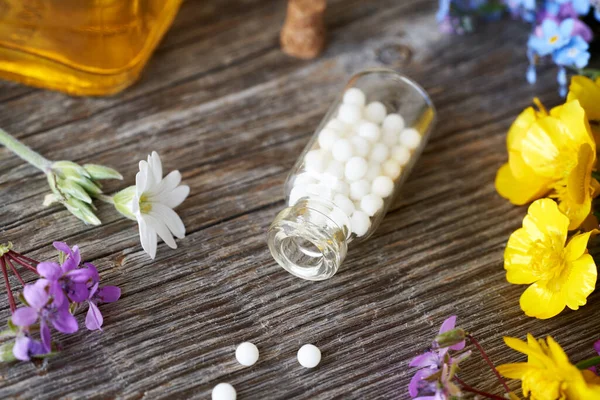 Flaske Homøopatiske Kugler Med Friske Forårsblomster Urter - Stock-foto