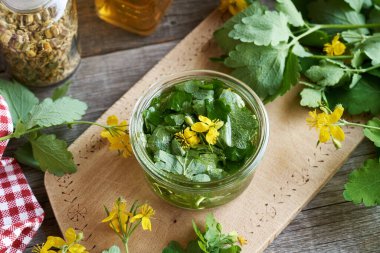 Taze çiçek açan tetterwort ya da daha büyük celandin bitkisinden bitkisel tentürlerin hazırlanması