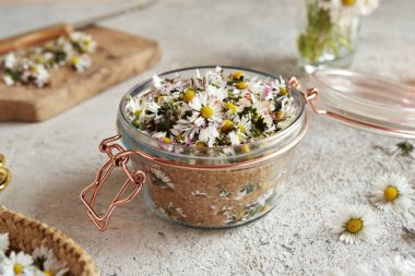 Taze papatya çiçekleri ve kamış şekerinden ev yapımı bitkisel şurup hazırlama