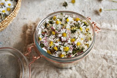 Öksürük için papatya şurubu. Bitkisel ilaçlar.
