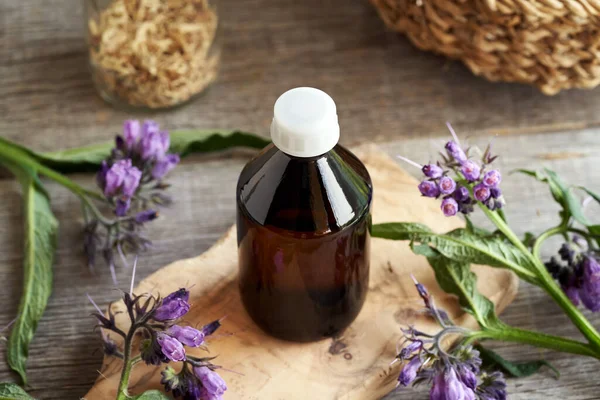Bottle Herbal Tincture Fresh Blooming Comfrey Smphytum Officinale Plant — Stock Photo, Image