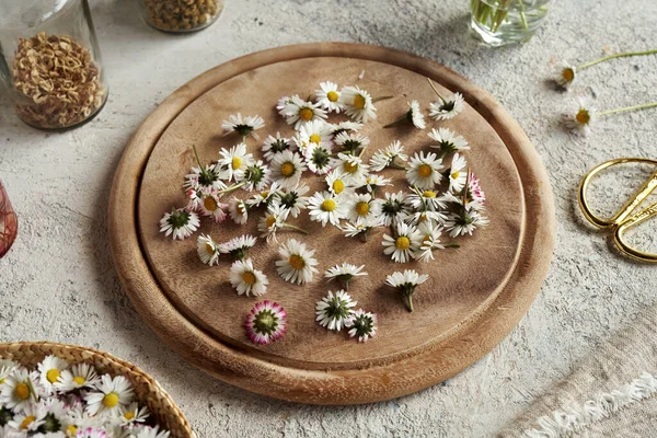 Friss Gyep Százszorszép Virágok Egy Vágódeszkán — Stock Fotó