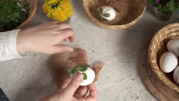 Прикріплення Свіжого Листя Тетрауту Білого Великоднього Яйця Тканиною Підготовка Фарбування — стокове відео