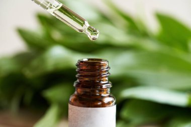 Bir şişe aromaterapinin üzerinde yeşil yapraklı, gerekli yağ damlası.