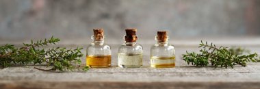 Üç şişe aromaterapi ile yatay pankart. Taze kekik dallarıyla gerekli yağ.