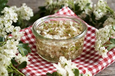 Alıç çiçeği ve alkolle dolu bir kavanoz bitkisel tentürü hazırlamak için.