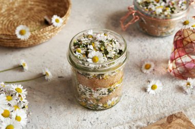 Ev yapımı bitkisel şurup hazırlamak için içi papatya çiçeği ve şeker dolu bir kavanoz.