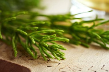 Arka planda bir fincan bitki çayıyla ahşap bir masada taze at kuyruğu bitkisi.