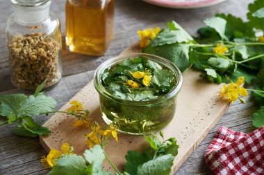 Taze çiçek açan tetterwort ya da daha büyük celandin bitkisinden ev yapımı tentürlerin hazırlanması