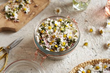 Kesilmiş papatya çiçekleri ve şekerle dolu bir kavanoz - bitkisel şurup hazırlama