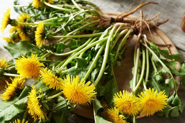 Whole blooming dandelion plants with roots on a table