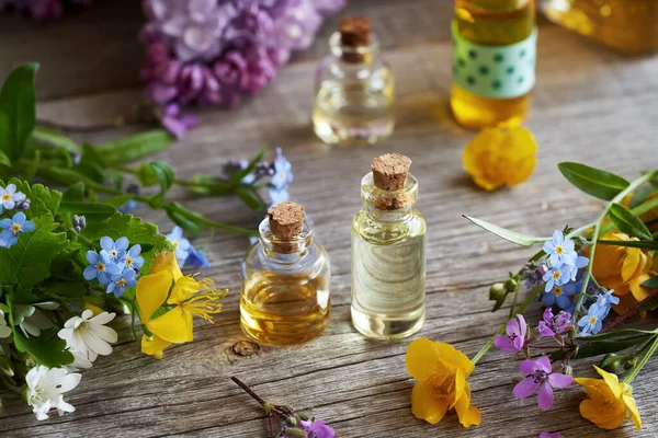 Flessen Aromatherapie Etherische Olie Met Verse Kruiden Bloemen Het Voorjaar — Stockfoto