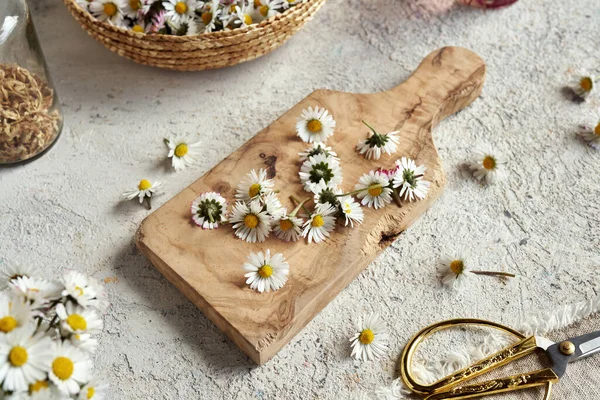 Gazon Madeliefje Bloemen Verzameld Het Voorjaar Een Houten Snijplank Een — Stockfoto