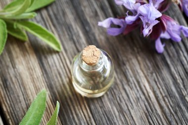 Bir şişe aromaterapi esaslı yağ ve taze çiçek açan adaçayı.