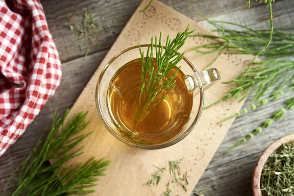 Fresh Horsetail Twigs Cup Herbal Tea Top View — Stockfoto