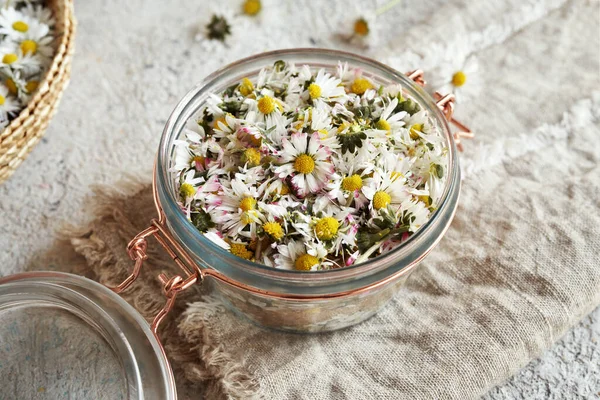 自家製のハーブシロップを準備するために新鮮な芝生のデイジーの花と砂糖でいっぱいのガラス瓶 — ストック写真