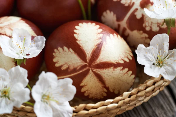 Paskalya Yumurtası Soğan Kabuklarıyla Boyanmış Hasır Sepette Kiraz Çiçeğiyle Birlikte — Stok fotoğraf