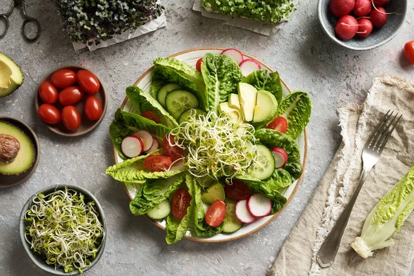 Salada Legumes Com Brotos Rabanete Fresco Com Brócolis Caseiro Microgreens — Fotografia de Stock