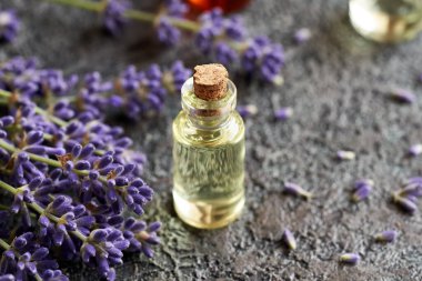 A bottle of aromatherapy essential oil with fresh lavender flowers     