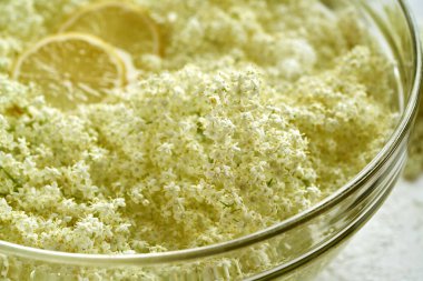 Taze elderberry çiçekleri ve suda eriten limon - ev yapımı bitkisel şurup hazırlama