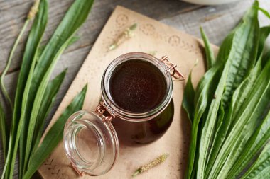 Bir kavanoz pirzola muz şurubu ve masada taze bitki lanceolata yaprakları.