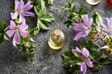 Esaslı bir yağ şişesi ve koyu arkaplanda taze çiçek açan bir bitki.