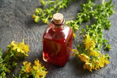 St. John 's Wort veya Hypericum Performans yağı ve çiçekler bir masanın üzerinde