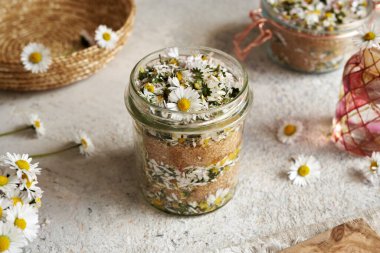 Taze İngiliz çiçeklerinden öksürük şurubu ve cam kavanozda kamış şekeri yapmak.