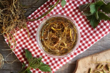 Isırgan kökü tentürü cam bir kavanozda hazırlanıyor.