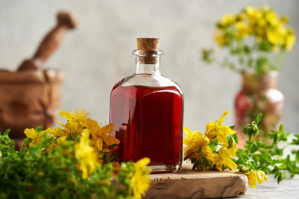 Una Botella Aceite Hierba San Juan Con Flores Frescas Hypericum — Foto de Stock
