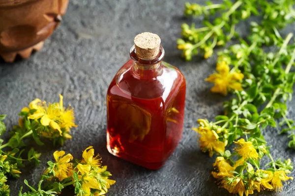 Yazın taze St. John 's otundan yapılmış kırmızı bir yağ şişesi.