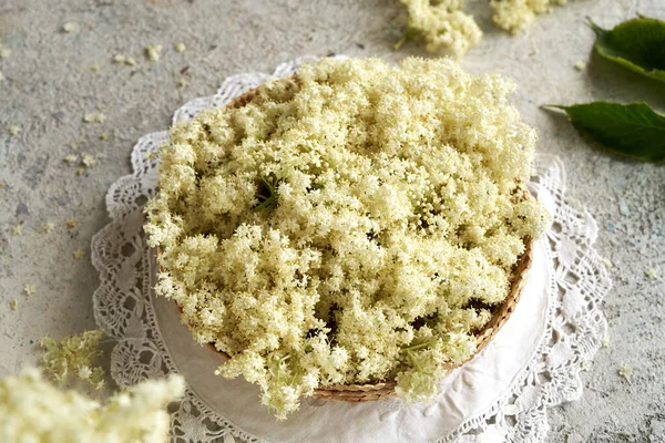 Flores Sabugueiro Frescas Colhidas Junho Uma Cesta Uma Mesa — Fotografia de Stock