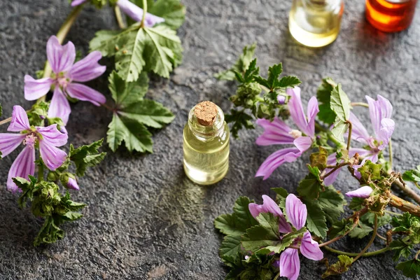 Bottle Aromatherapy Essential Oil Fresh Mallow Malva Sylvestris Flowers Table — Stock Photo, Image
