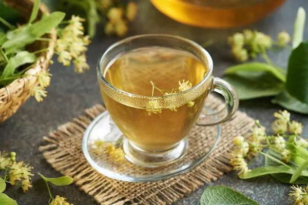 stock image A cup of herbal tea with fresh linden or Tilia cordata flowers harvested in late spring