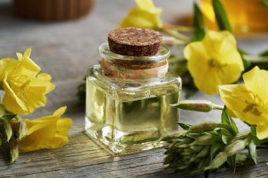 Masada taze Oenothera biennis çiçekleri olan bir şişe çuha çiçeği yağı.