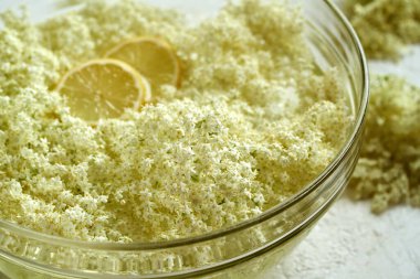 Bahar mevsiminde limonla birlikte suda toplanan taze mürver çiçekleri - bitkisel şurubun hazırlanması