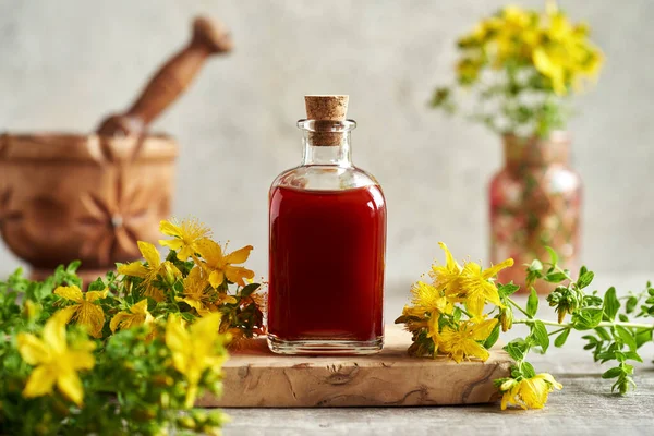 Butelka Zdrowego Czerwonego Oleju Kwiatów Ziela Dziurawca Stole Świeżymi Kwiatami — Zdjęcie stockowe