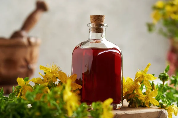 Een Fles Zelfgemaakte Rode Olie Van Verse Sint Janskruid Bloemen — Stockfoto