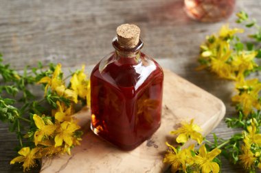 Ev yapımı kırmızı yağ, taze St. John otundan yapılmış. Ahşap bir masada cam bir şişede.