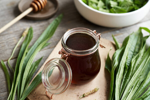 Домашний сироп из банана из сусла от кашля со свежими листьями 