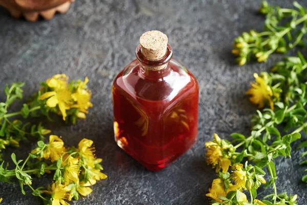 Hausgemachtes Rotes Aus Frischen Johanniskrautblüten Sommer Einer Glasflasche — Stockfoto