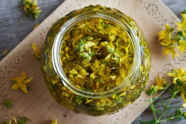 Cam bir kavanozda taze St. John otundan bitkisel yağ yapmak.