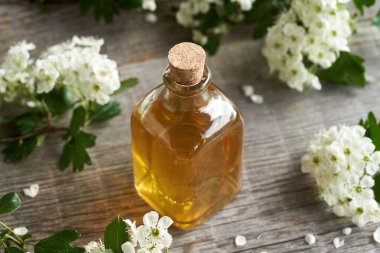 Bir şişe taze dikenli bitkisel tentür ya da masada Crataegus çiçekleri.