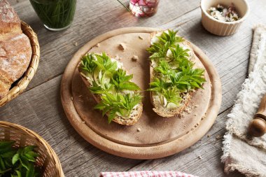 Bahar başında ekşi ekmek dilimlerinde toplanan genç gutweed ya da yaşlı yapraklar.
