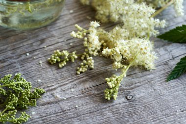 Ahşap bir masada Meadowsweet veya Filipendula çiçekleri