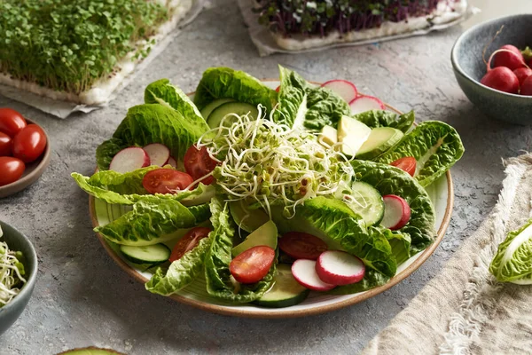 Vegetabilisk Sallad Med Trädgårdsrädisor Groddar Med Broccoli Och Kål Mikrogröna — Stockfoto
