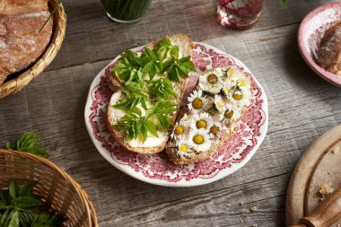 Yaygın papatya çiçekleri ve taze gutweed yaprakları ekşi ekmek dilimlerinde
