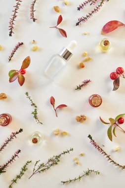 Beyaz dikey arka plan aromaterapi şişeleri gerekli yağ, tütsü, kekik ve kekik üzümü