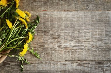 Fotokopi alanı olan ahşap bir zeminde taze karahindiba çiçekleri